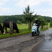 1. Moped Xtreme 2017