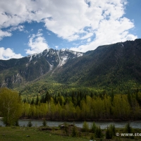 Altai