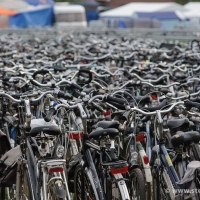 Zwarte Cross 2015