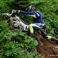 Erzbergrodeo 2017: Ossi Reisinger (Österreich, Husqvarna) kämpft gegen Stock und Stein