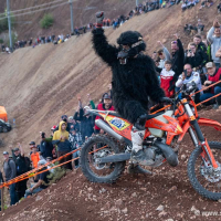 Erzbergrodeo 2024 
