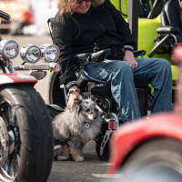 Love Ride 2026