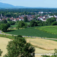 Schwarzwald Moped Marathon 2022