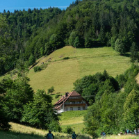 Schwarzwald Moped Marathon 2022