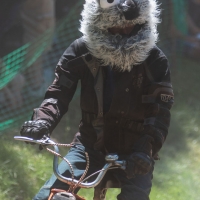 Stuttgarter Mofarennen 2019