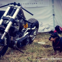 Wheels and Stones 2018